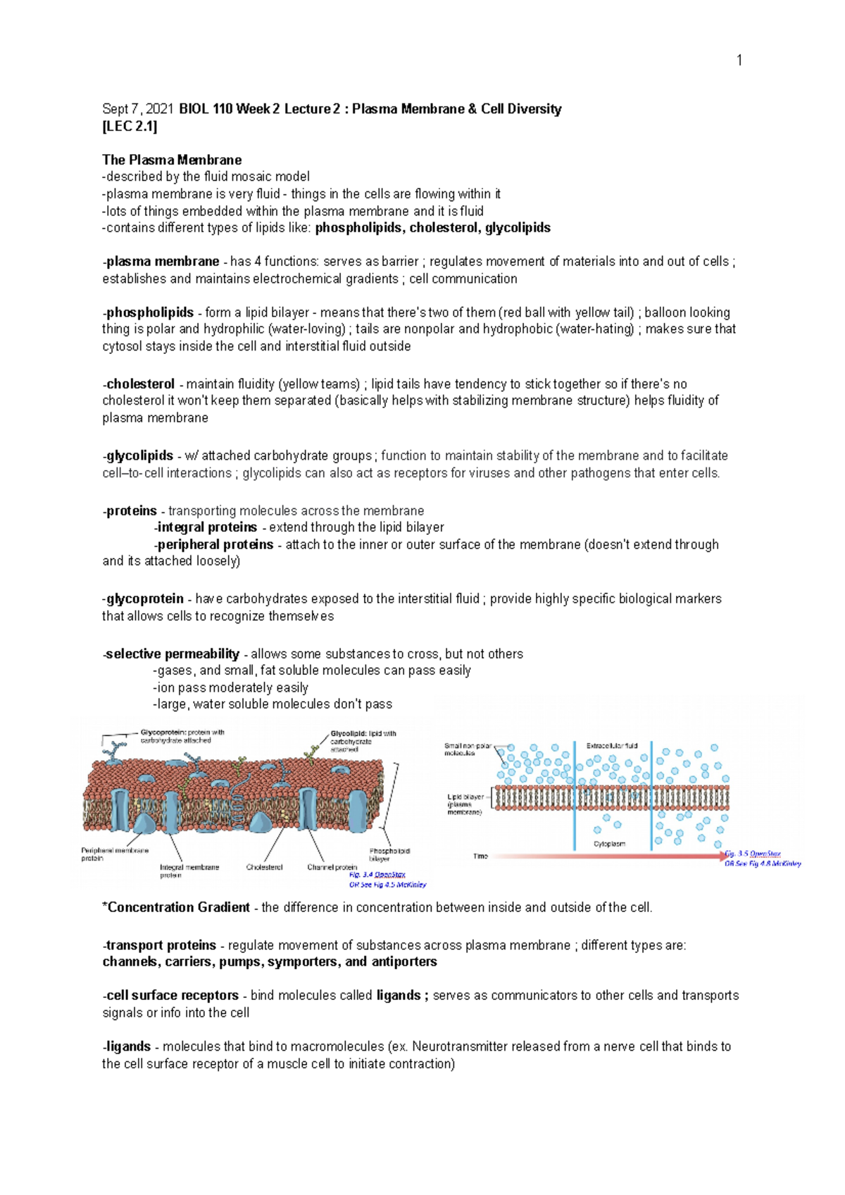 BIOL 110 Week 2 Lec 2 - BIOL 110 Anatomy And Physiology - Sept 7, 2021 ...