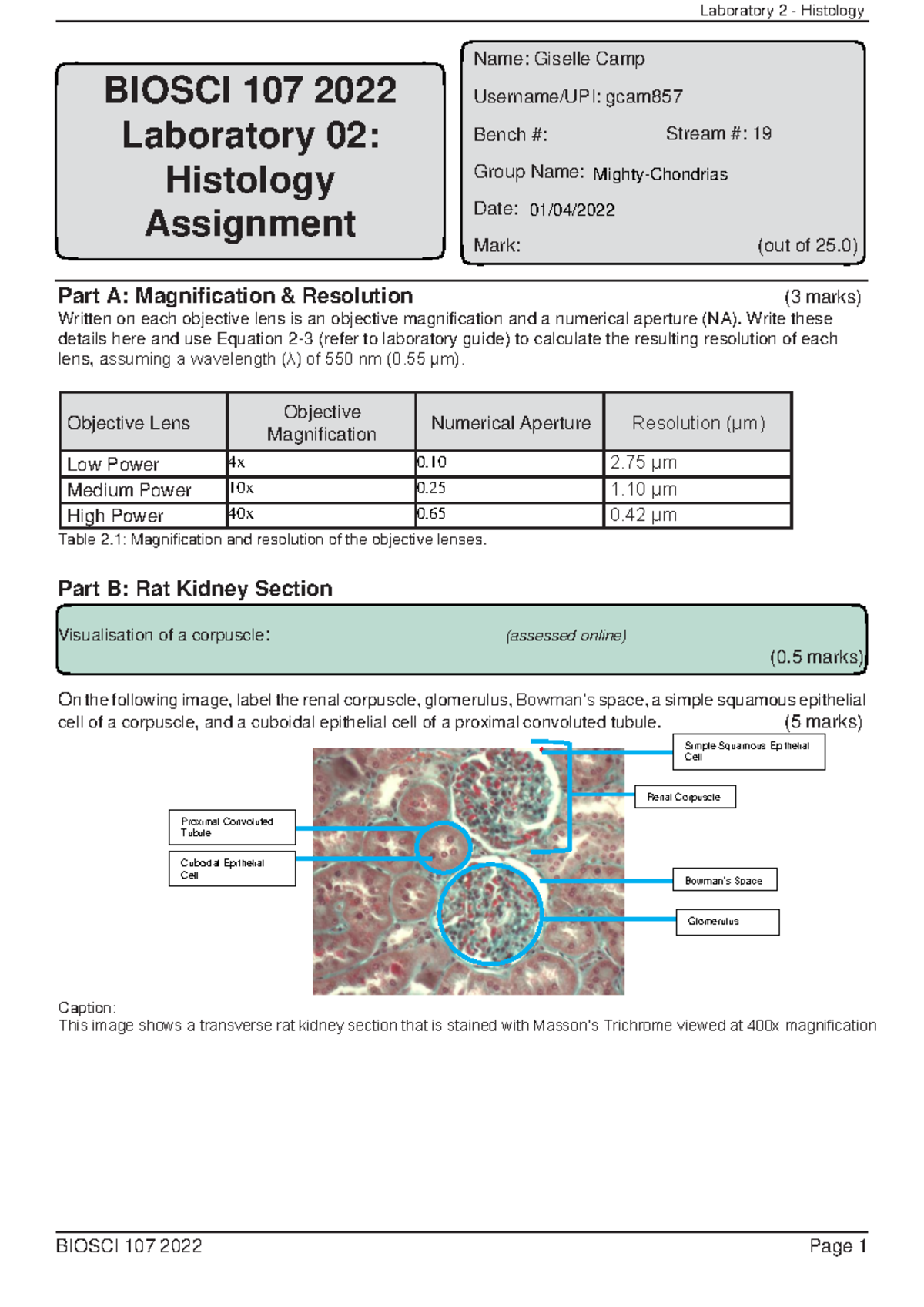 Lab 2 Histology Assignment 2022-Online - Laboratory 2 - Histology ...