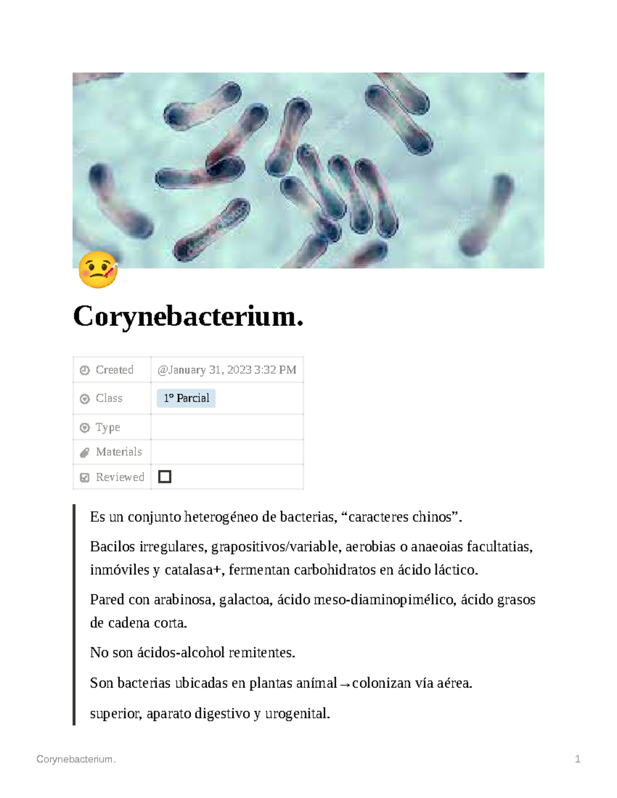 Corynebacterium - Resumen - B Corynebacterium. Created Class 1º Parcial ...