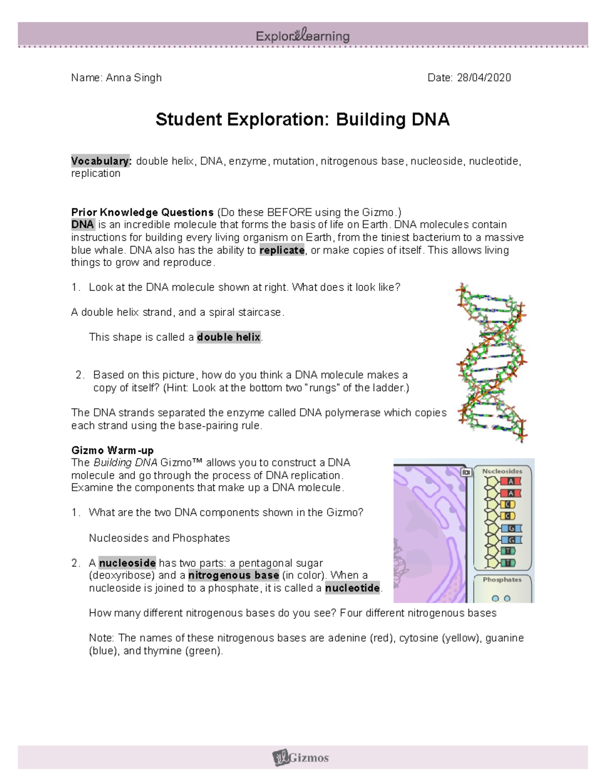 Dna Analysis Gizmo Answer Key Pdf Dna Analysis Gizmo Answer Key Page 1 Line 17qq Com Which 