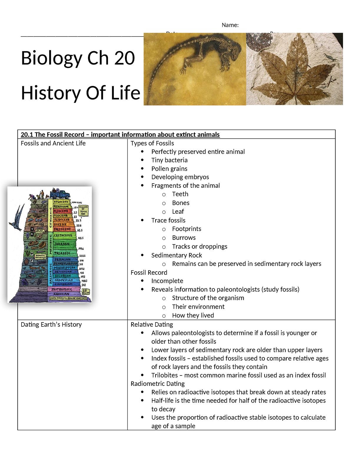 history of life (ch 19) assignment