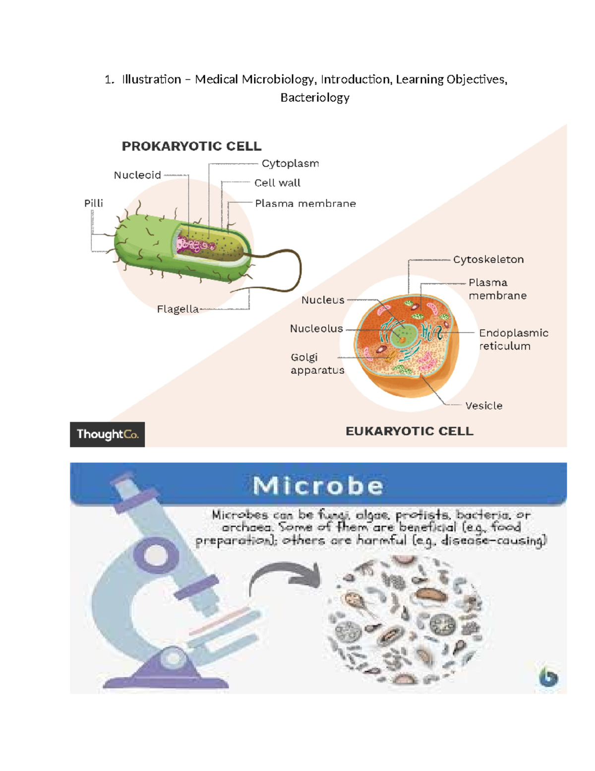 1.llustration - subject of microbiology - 1. Illustration – Medical ...