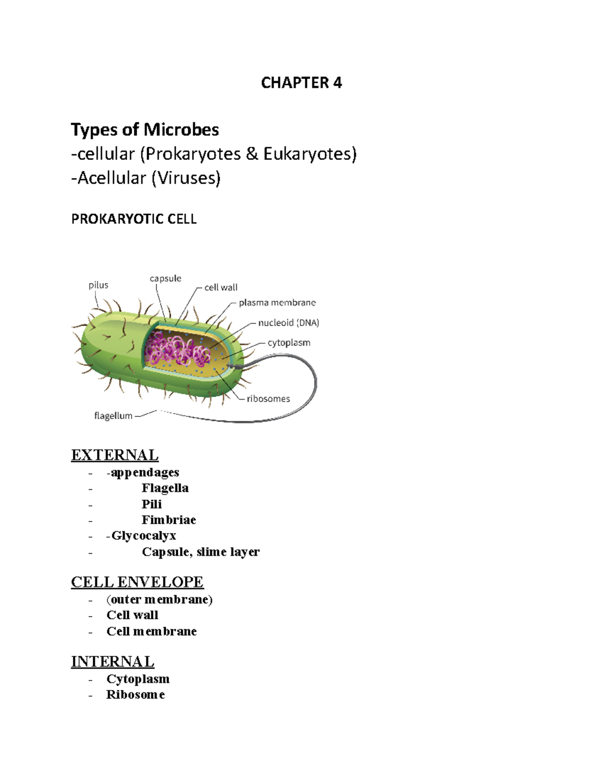 chapter-4-micro-notes-chapter-4-types-of-microbes-cellular