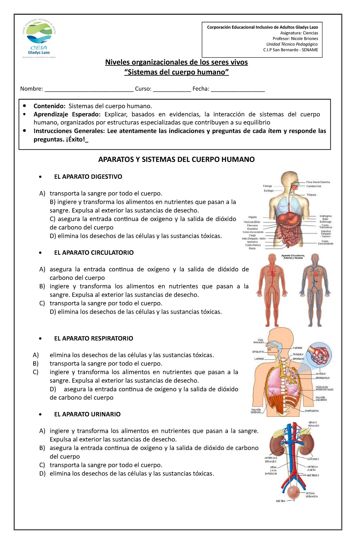 Sistemas Cuerpo Humano - Niveles Organizacionales De Los Seres Vivos ...