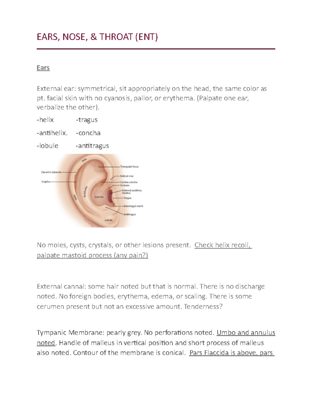 Ear Nose And Throat Doctor Flushing - hglwrwu