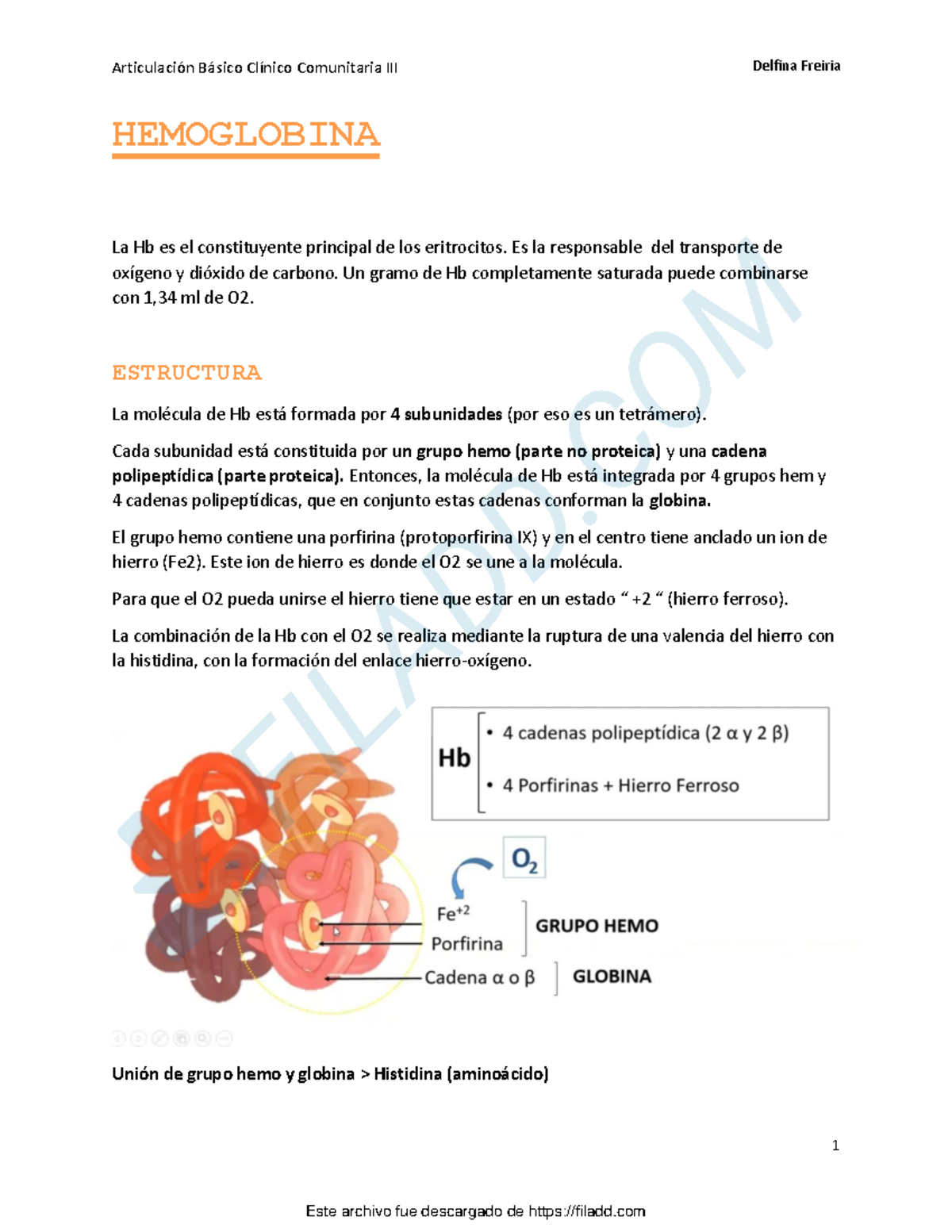 Hemoglobina Res 1 1 Hemoglobina La Hb Es El Constituyente Principal De Los Eritrocitos Es La 1337