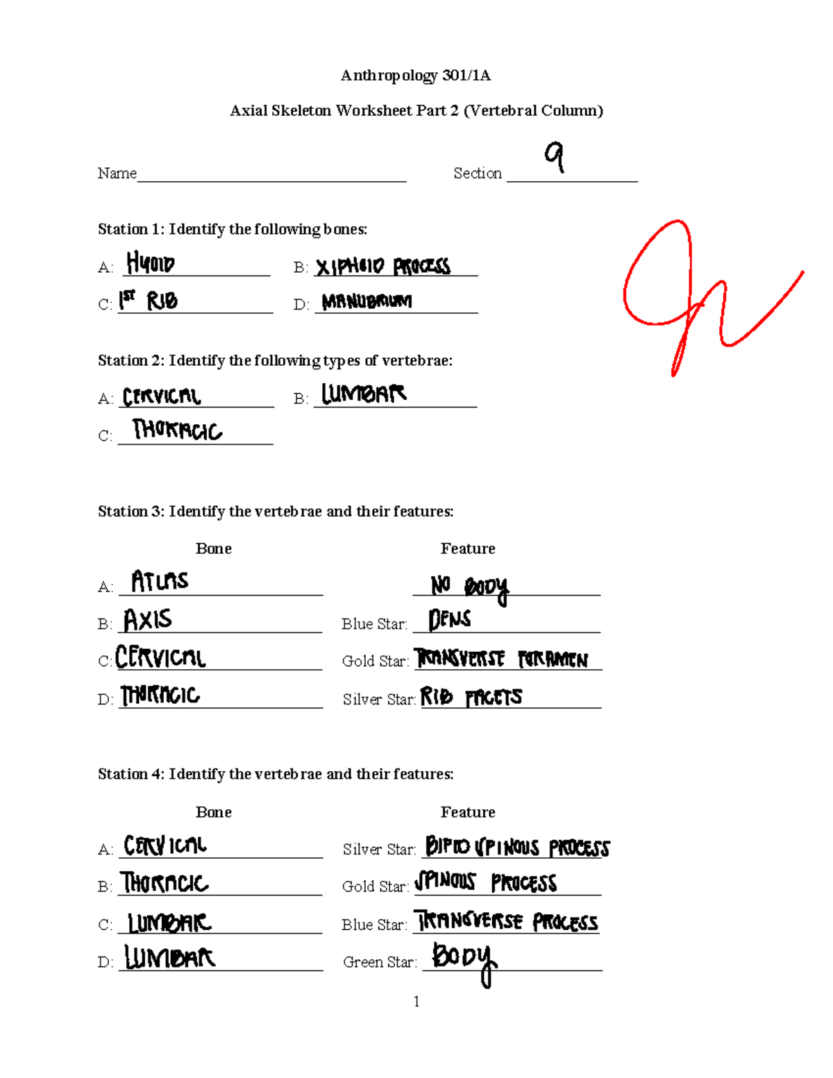 Worksheet Three N A 1 Anthropology 301 1A Axial Skeleton Worksheet