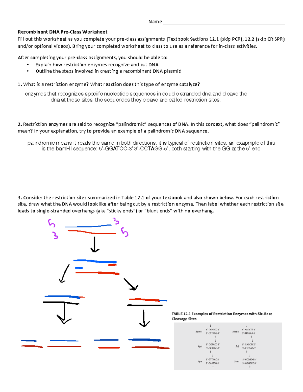 Week 9a.1 Recombinant DNA V2 - Name ...