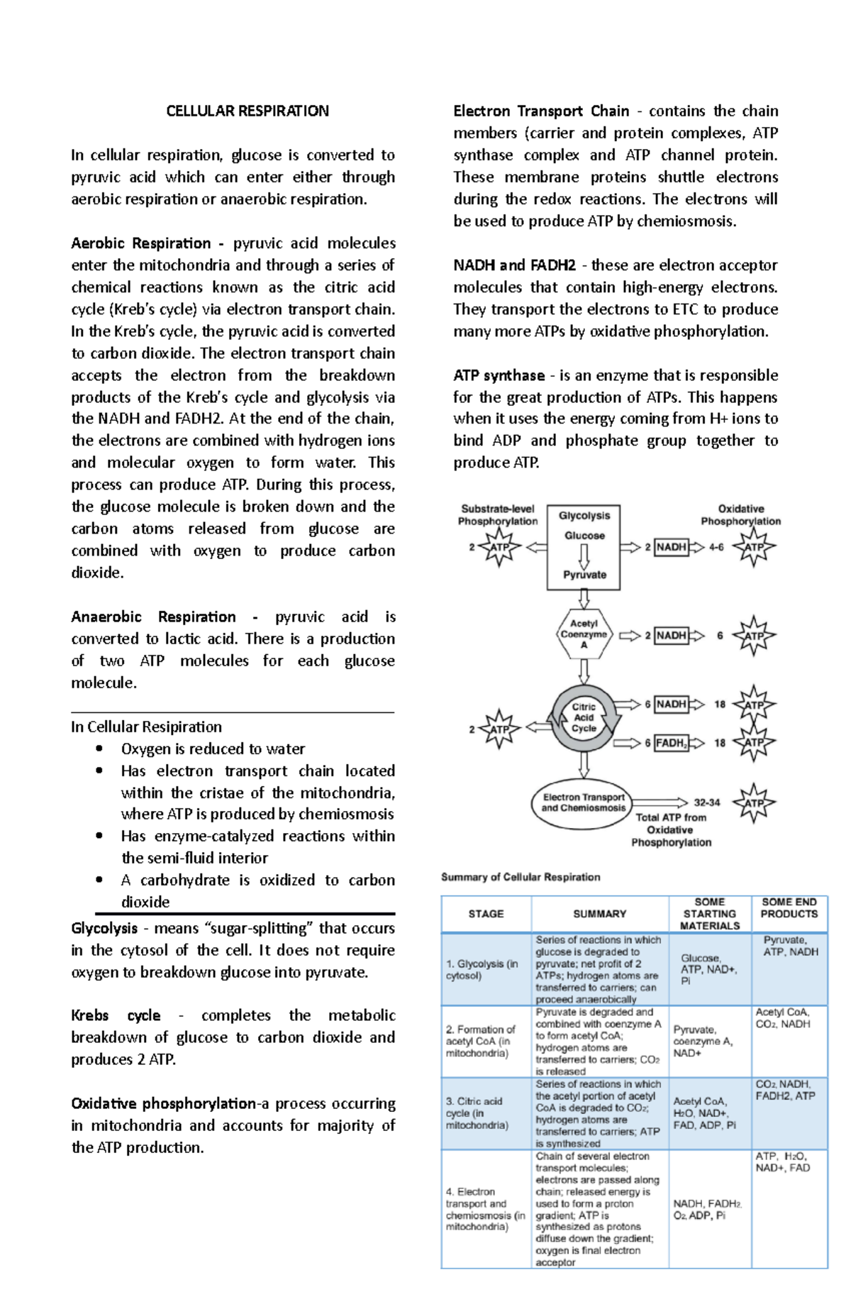 Cellular Respiration - Reviewer - NUR-21417-60 - Studocu