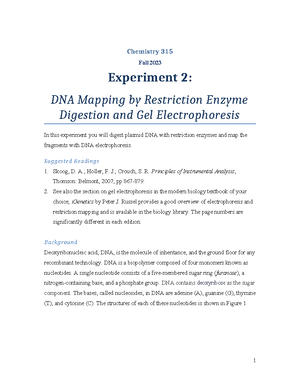 315 Spring 2019 Exp8 Report Guidelines - Chemistry 315 Spring 2019 ...