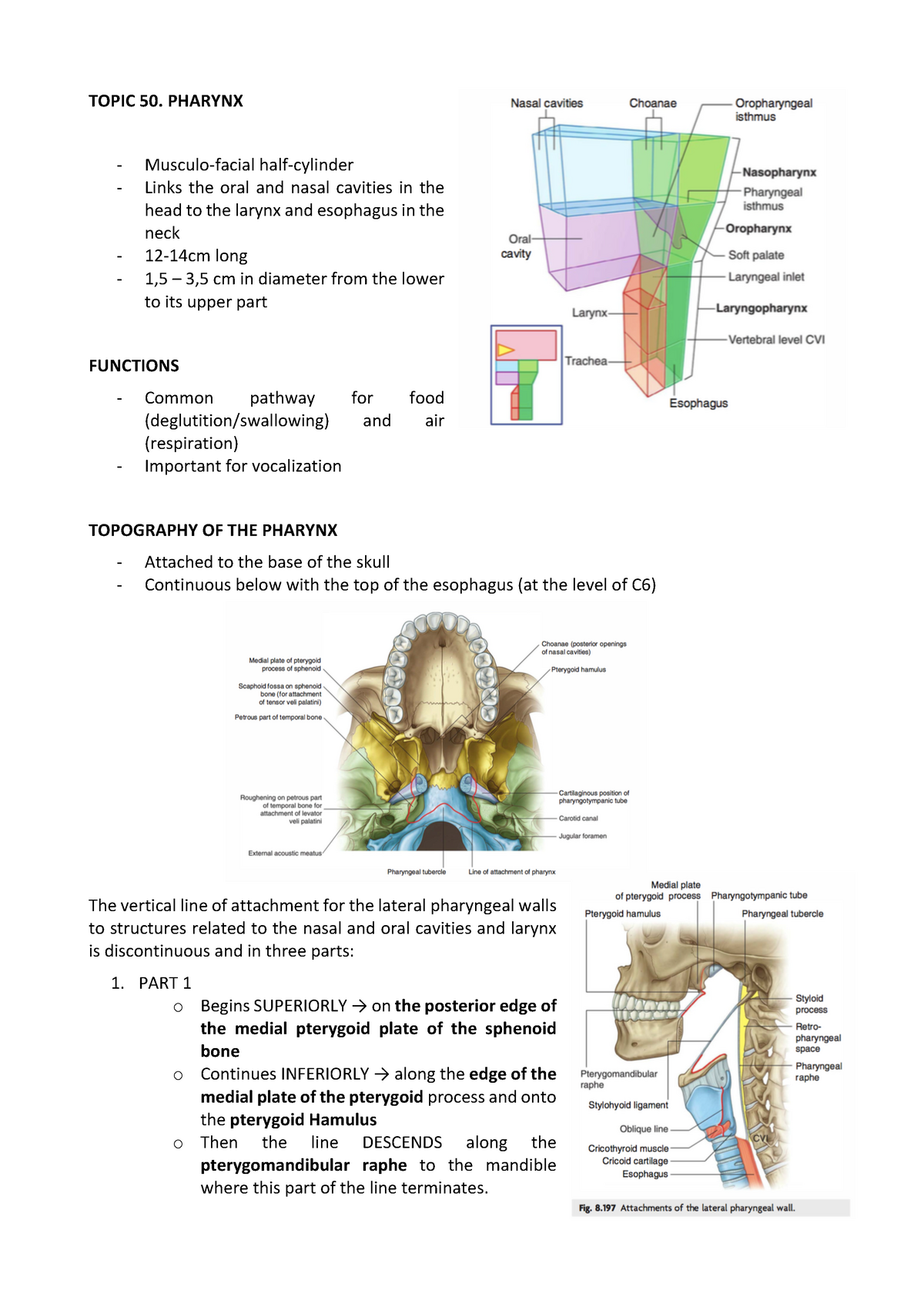 Pharynx Definition Function Location And Parts