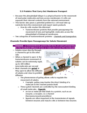 Biology 2050 Notes - Chapter 1 Biology Is The Study Of Life Incredible ...