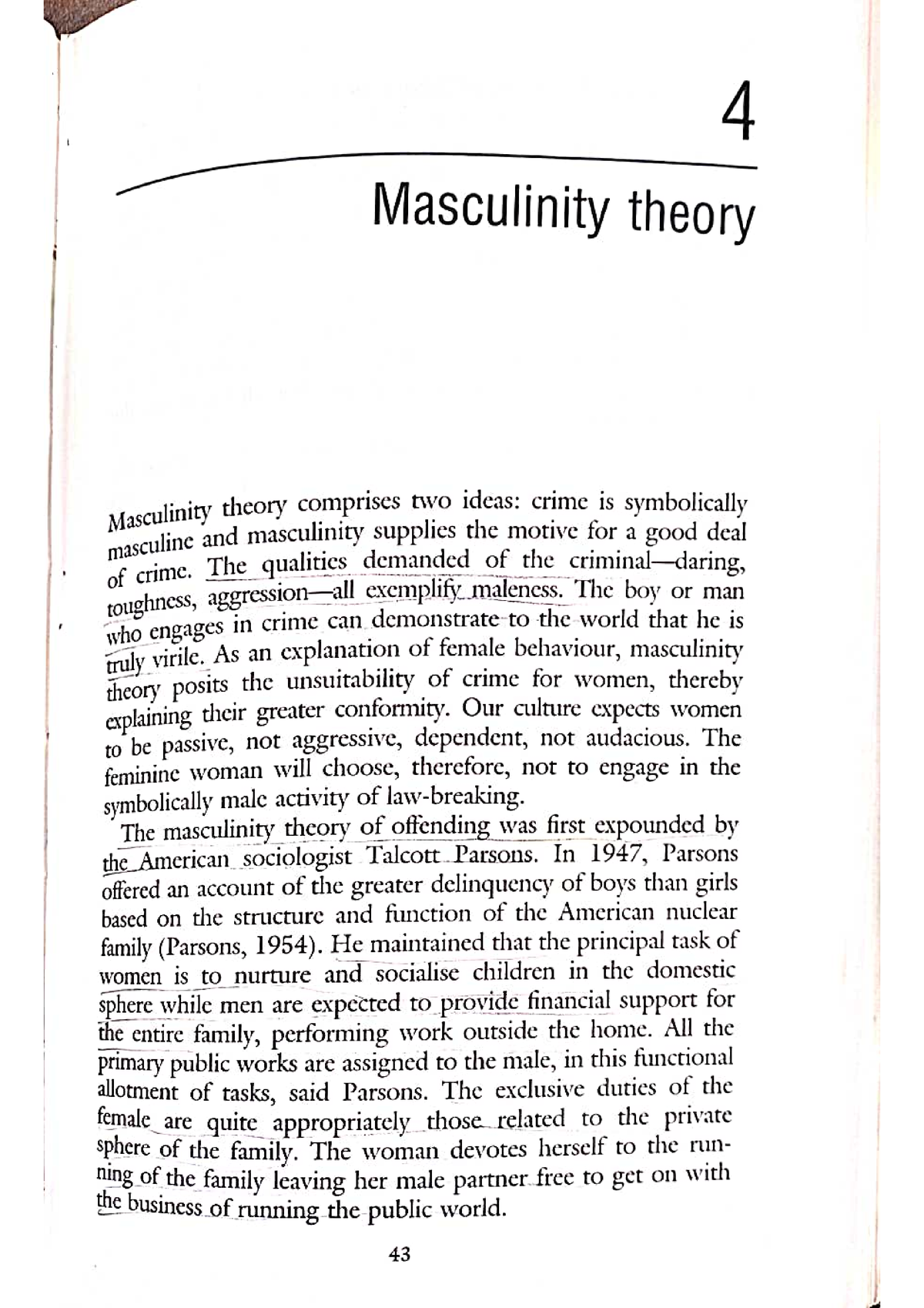 essay on masculinity and crime