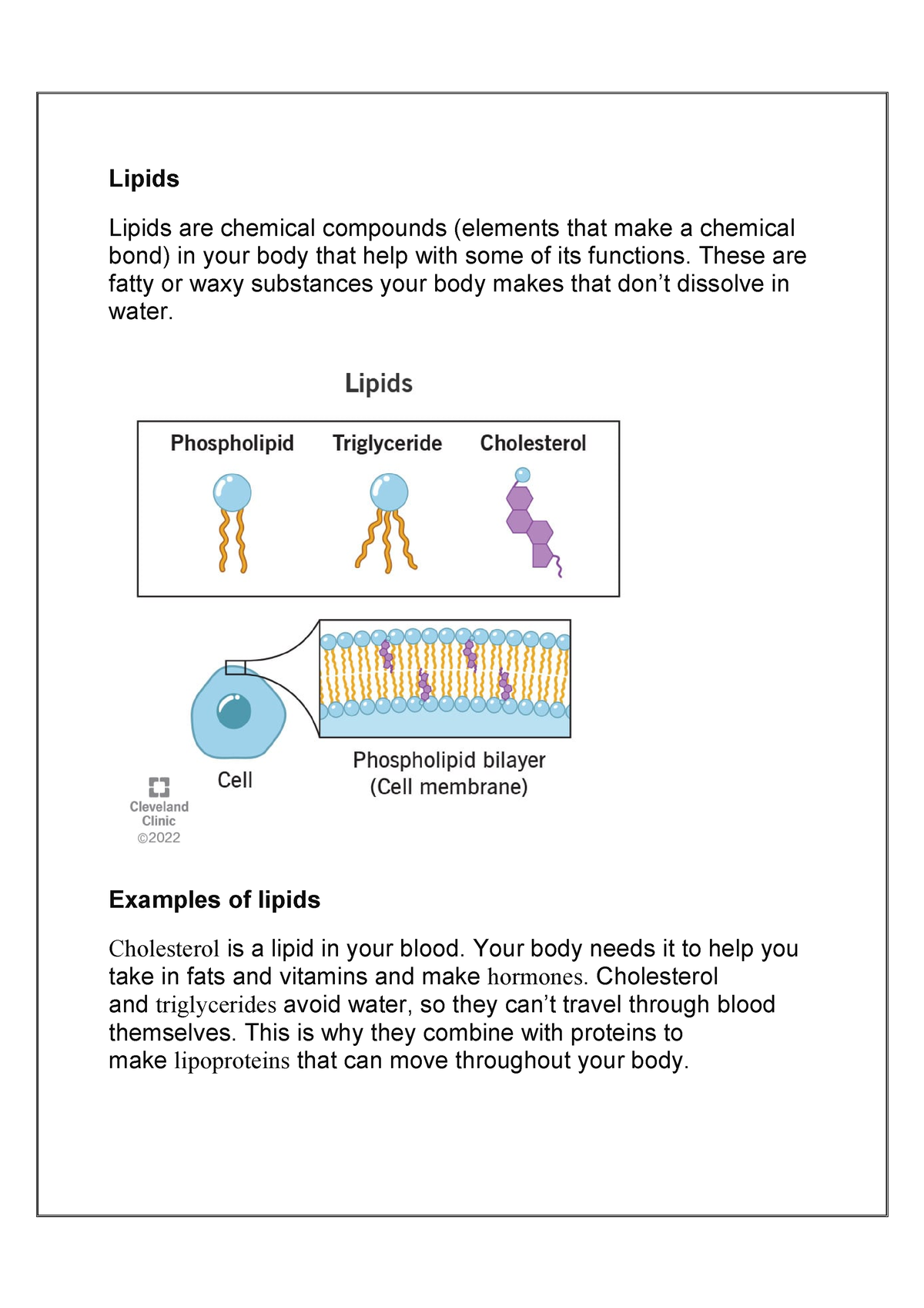 term paper on lipids