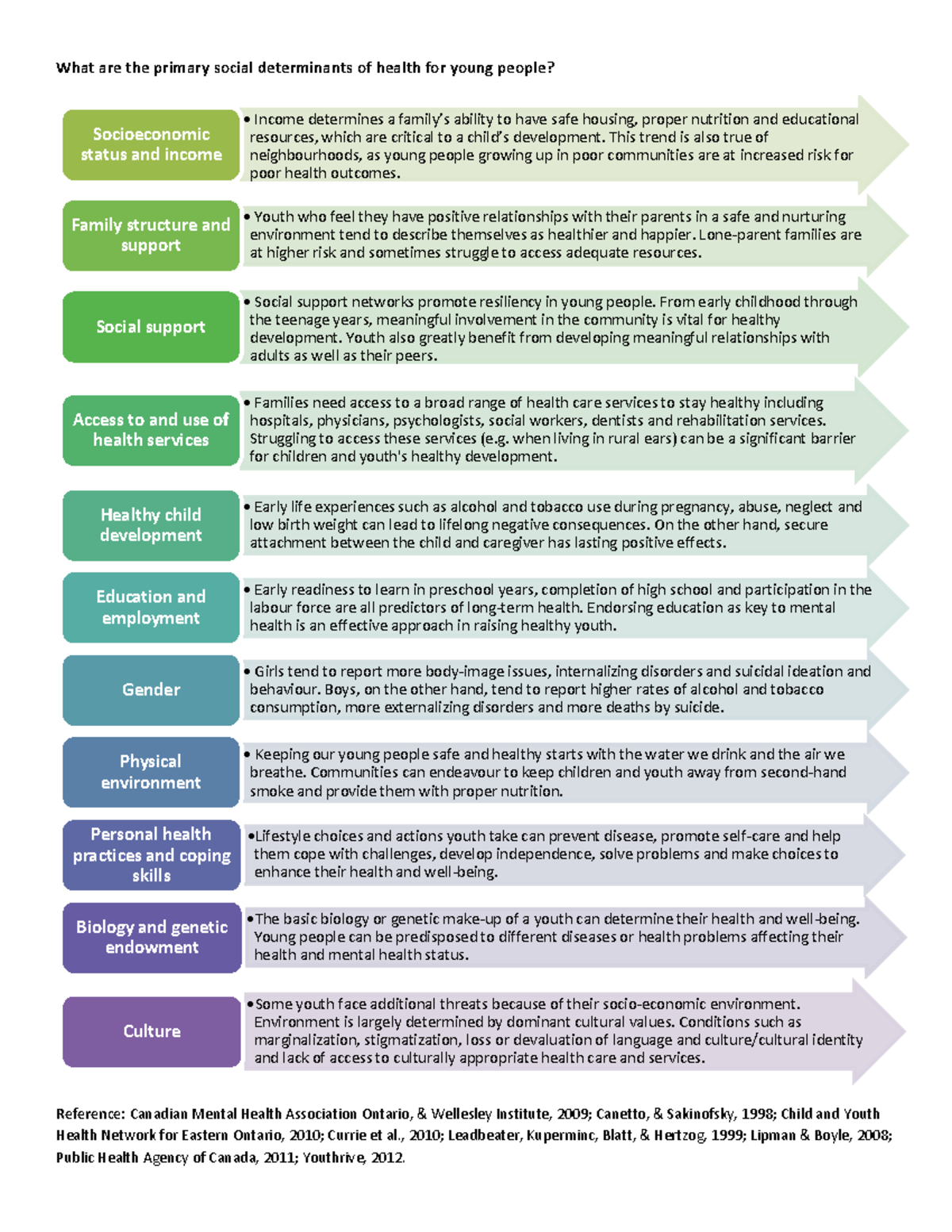 Social Determinants of Health PDF Summary Sheet - Studocu