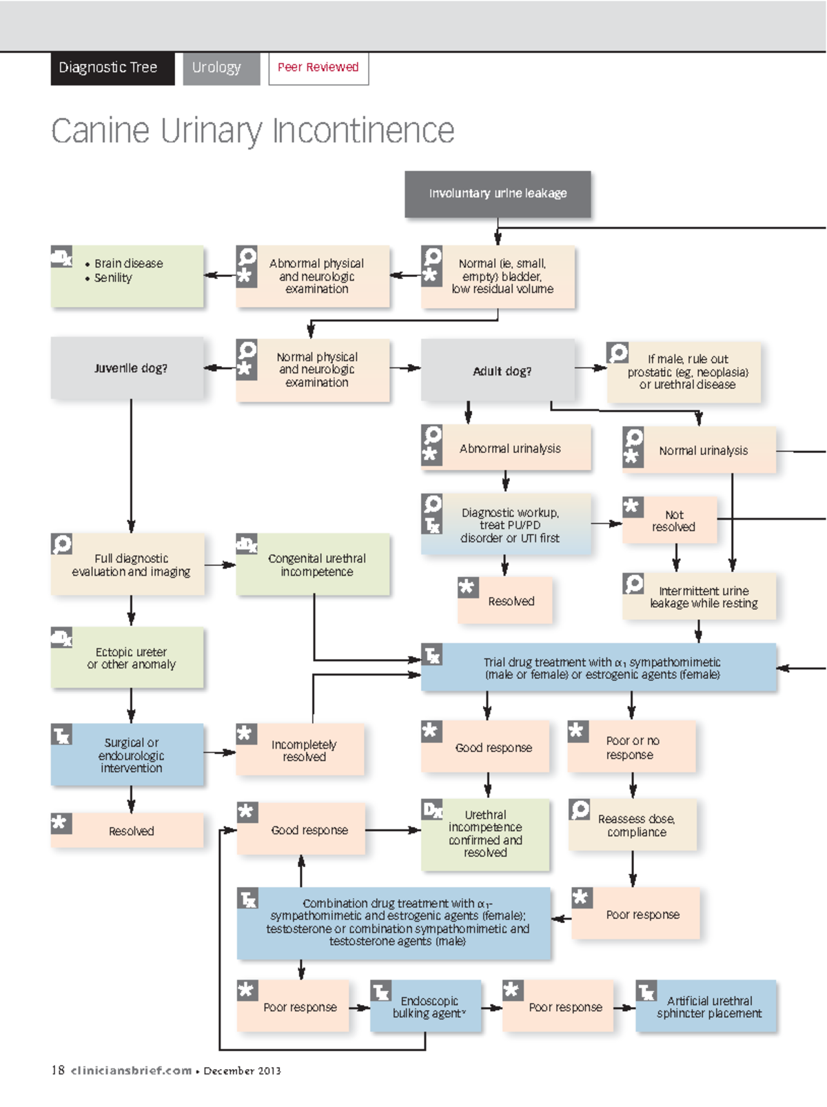 Canine urinary incontinence Resolved Peer Reviewed 18 cliniciansbrief