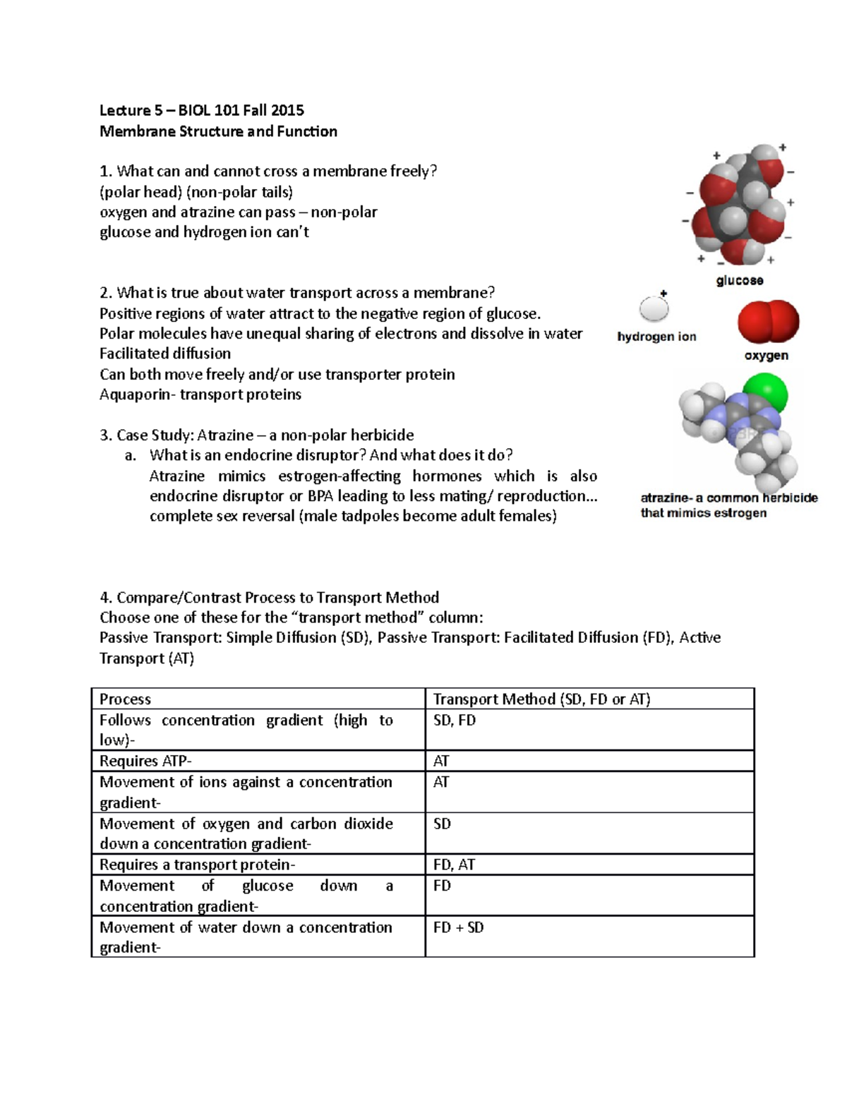 5 - Outline_Membranes - Lecture 5 – BIOL 101 Fall 2015 Membrane ...