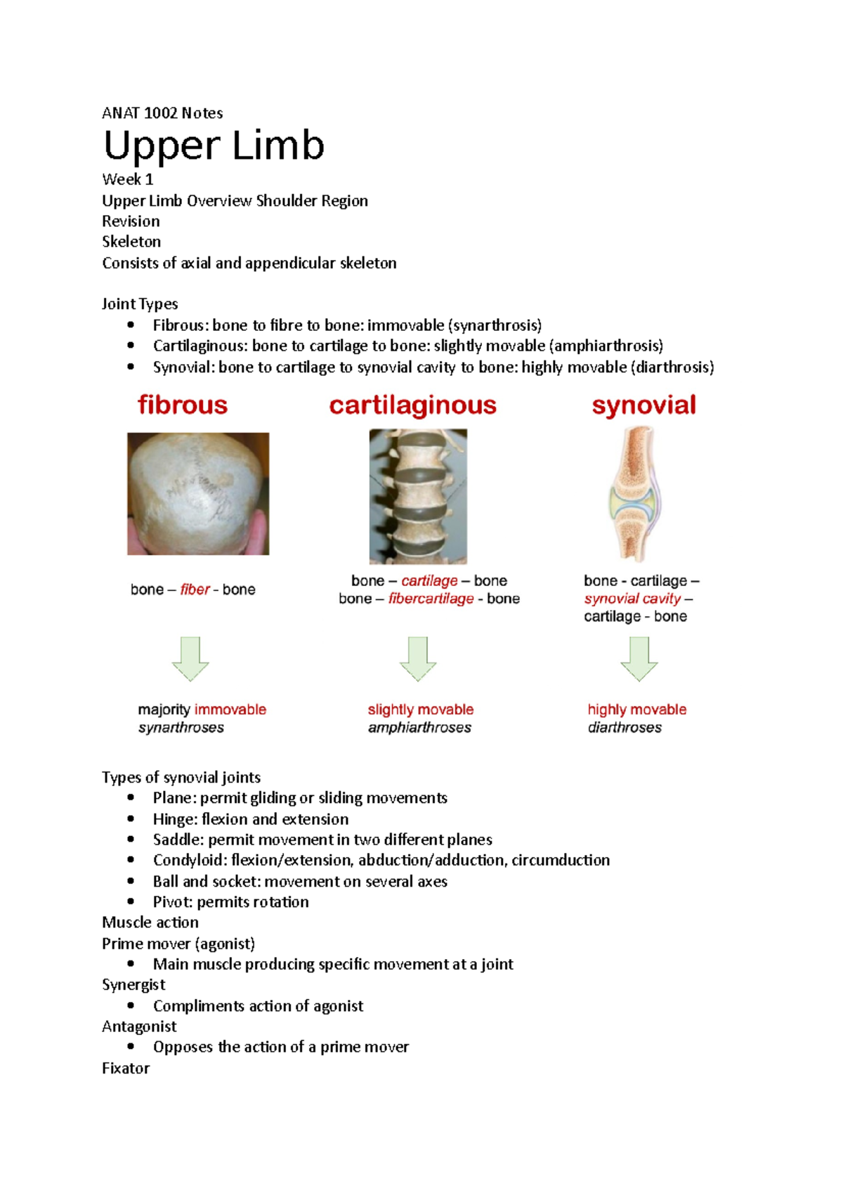 Upper Limb Notes - Alllan - ANAT 1002 Notes Upper Limb Week 1 Upper ...