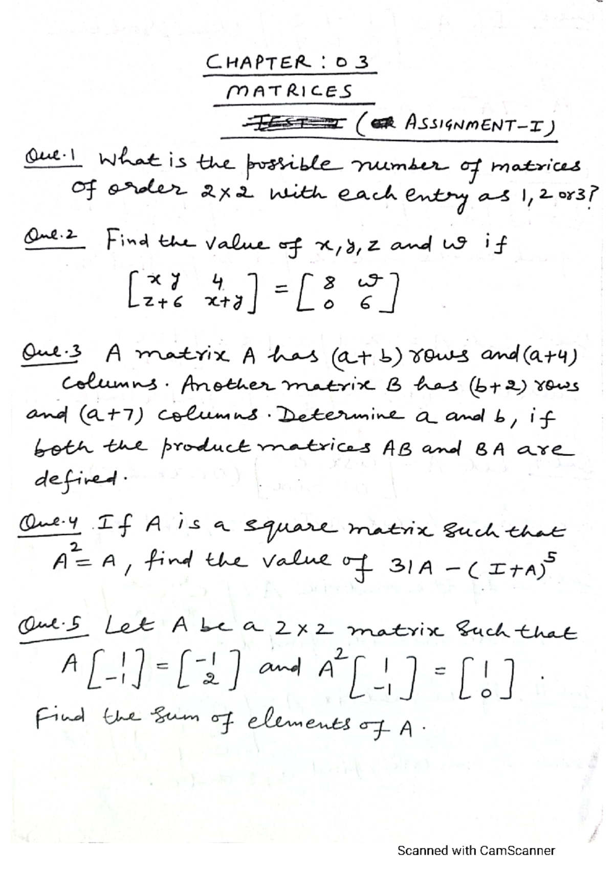 Assignment-Matrices - solve - Mathematics: Applications and ...