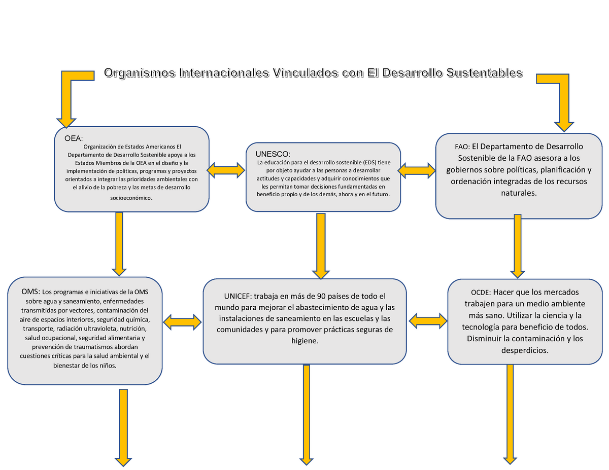 Map Ment S1 - Mapa conceptual de las organizaciones participantes en el  desarrolló sustentable - Studocu