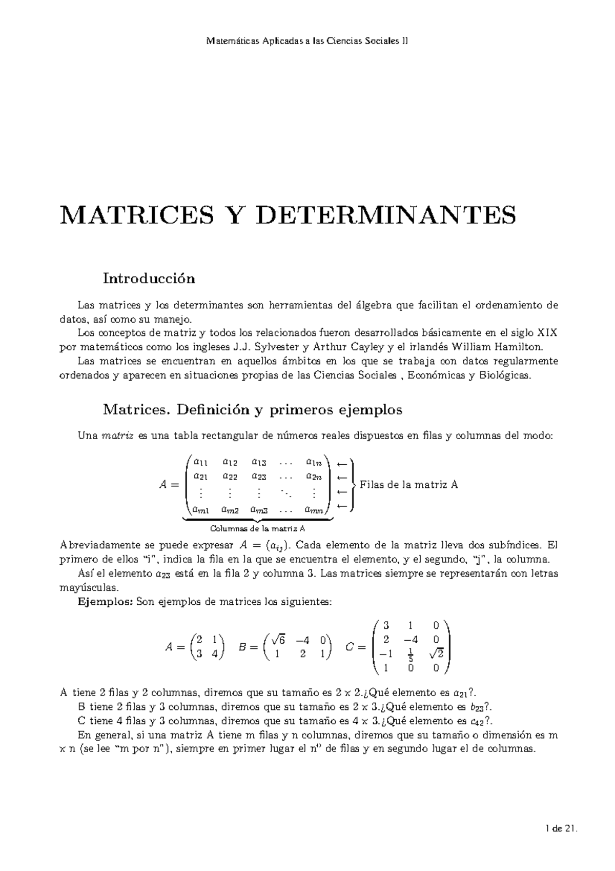 Conceptos Completos Determinantes Y Matrices - Cap ́ıtulo 6 MATRICES Y ...