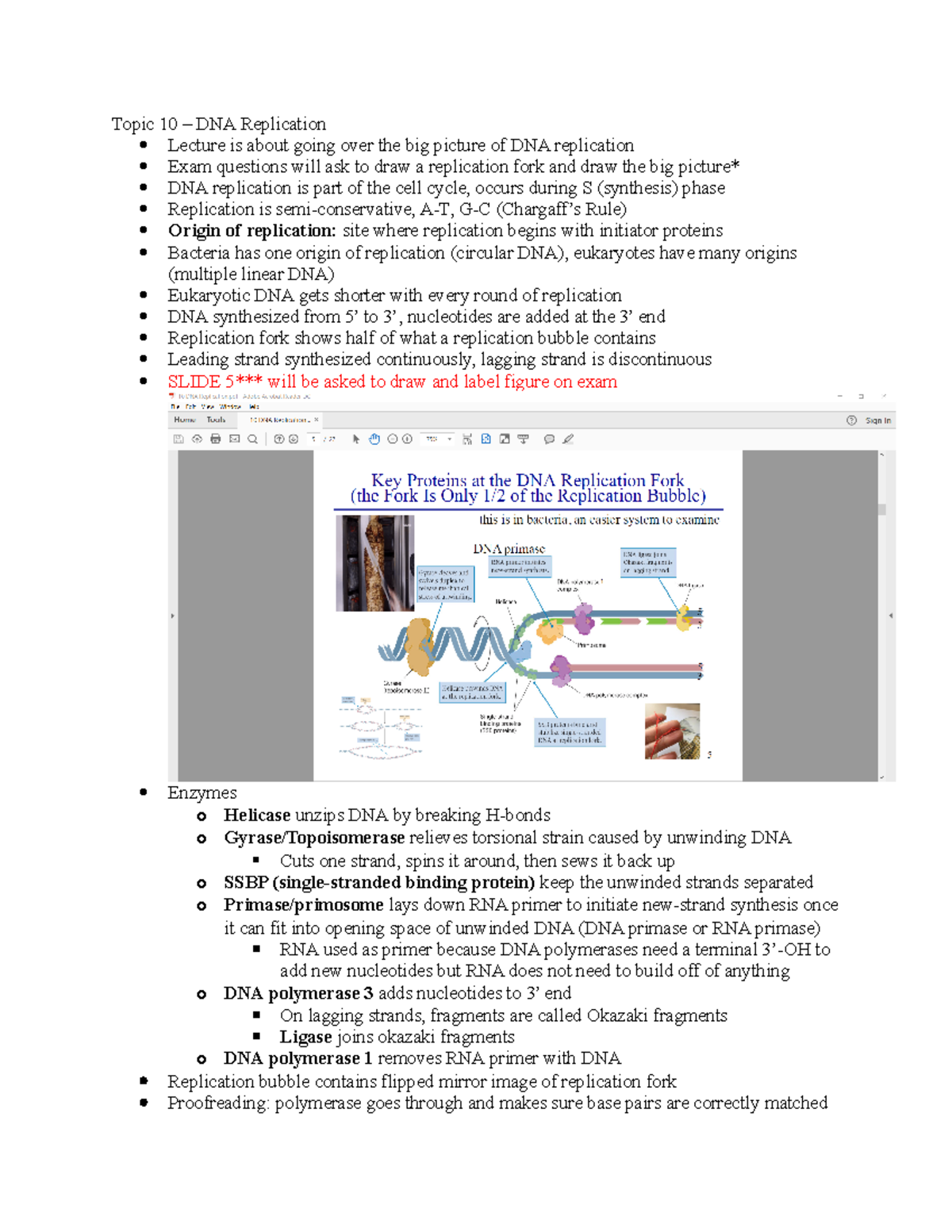 031318 Lecture Notes - Topic 10 - Topic 10 – DNA Replication Lecture is ...