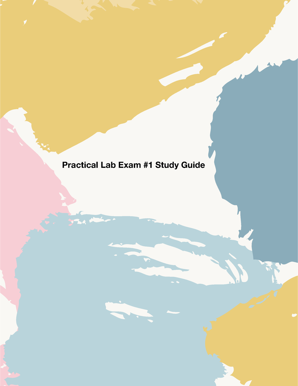 Study Guide Lab Exam #1 - Practical Lab Exam #1 Study Guide Practical ...