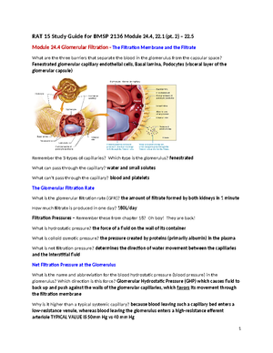 urinalysis case study