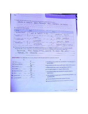 Unt 8 Metabolism Dropbox Worksheet - Name ...