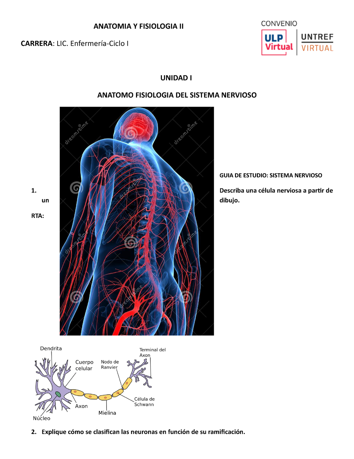 Trabajo Practico 1 AnatomÍa FisiologÍa Del Sistema Nervioso Anatomia Y Fisiologia Ii Carrera 3767