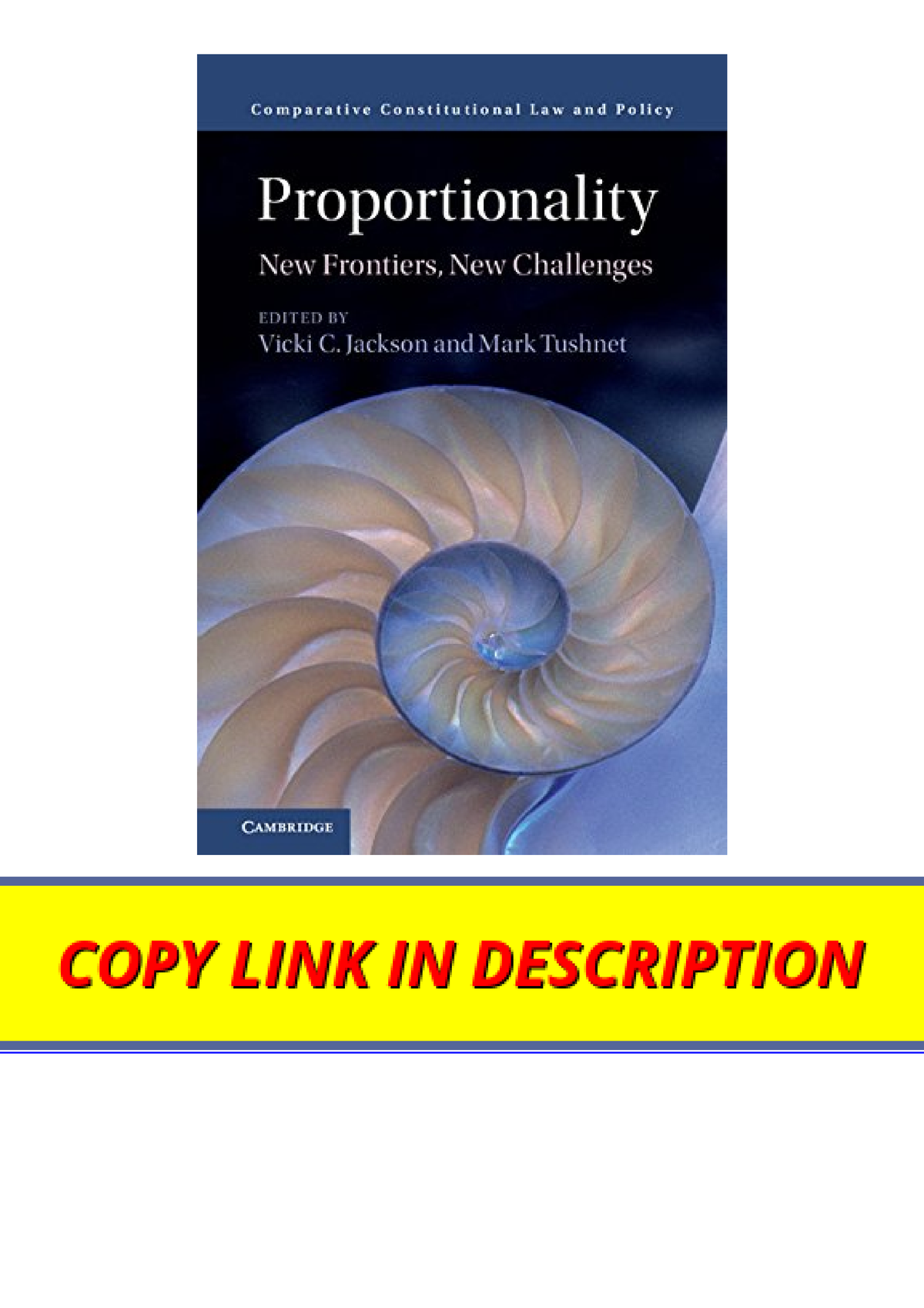 Download Pdf Proportionality New Frontiers New Challenges Comparative ...