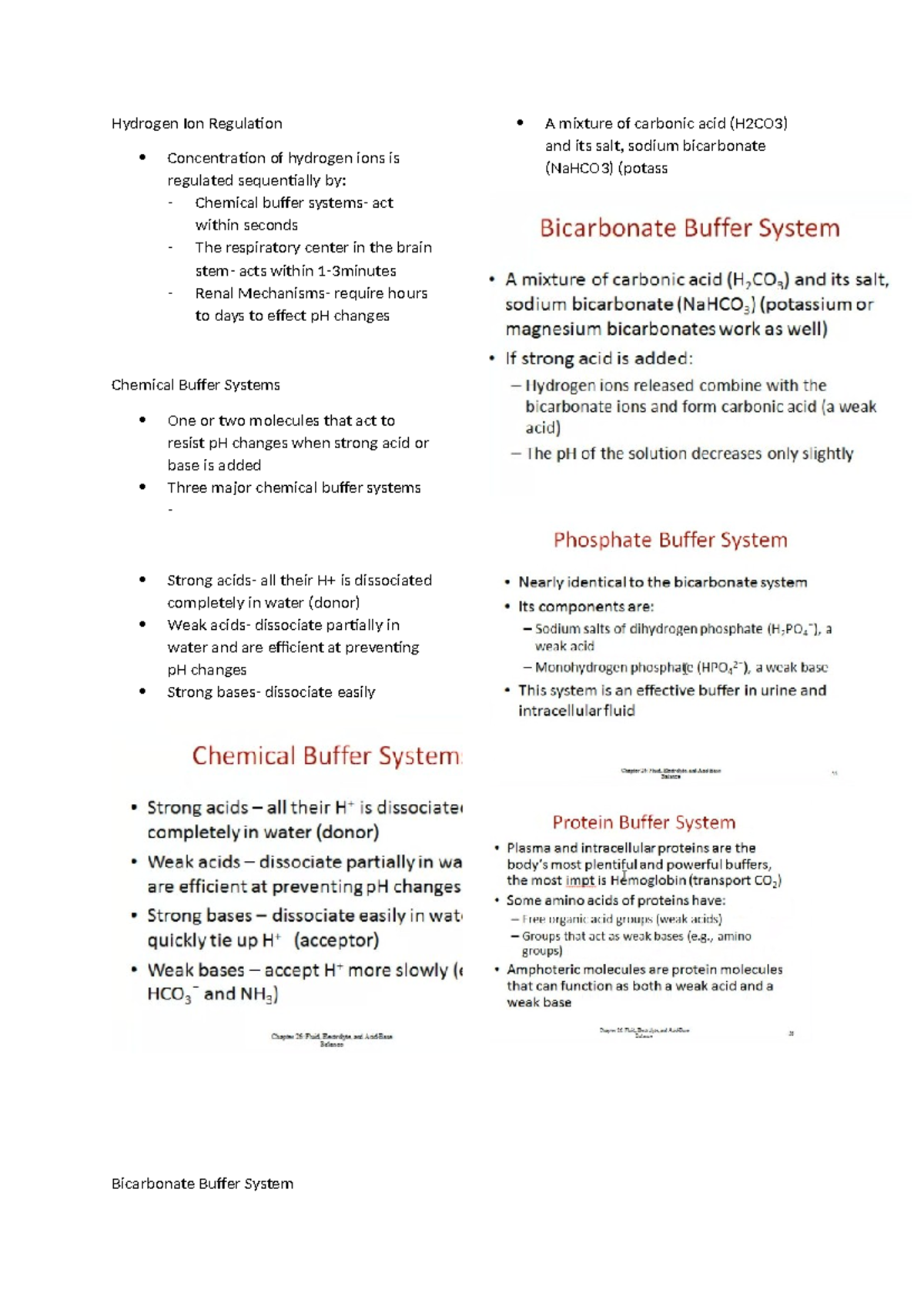Hydrogen Ion Regulation - Studocu