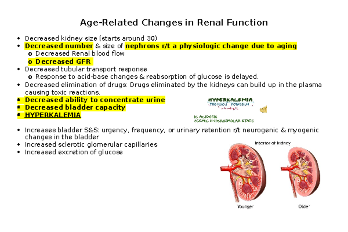 nursing-renal-summary-lecture-notes-age-related-changes-in-renal