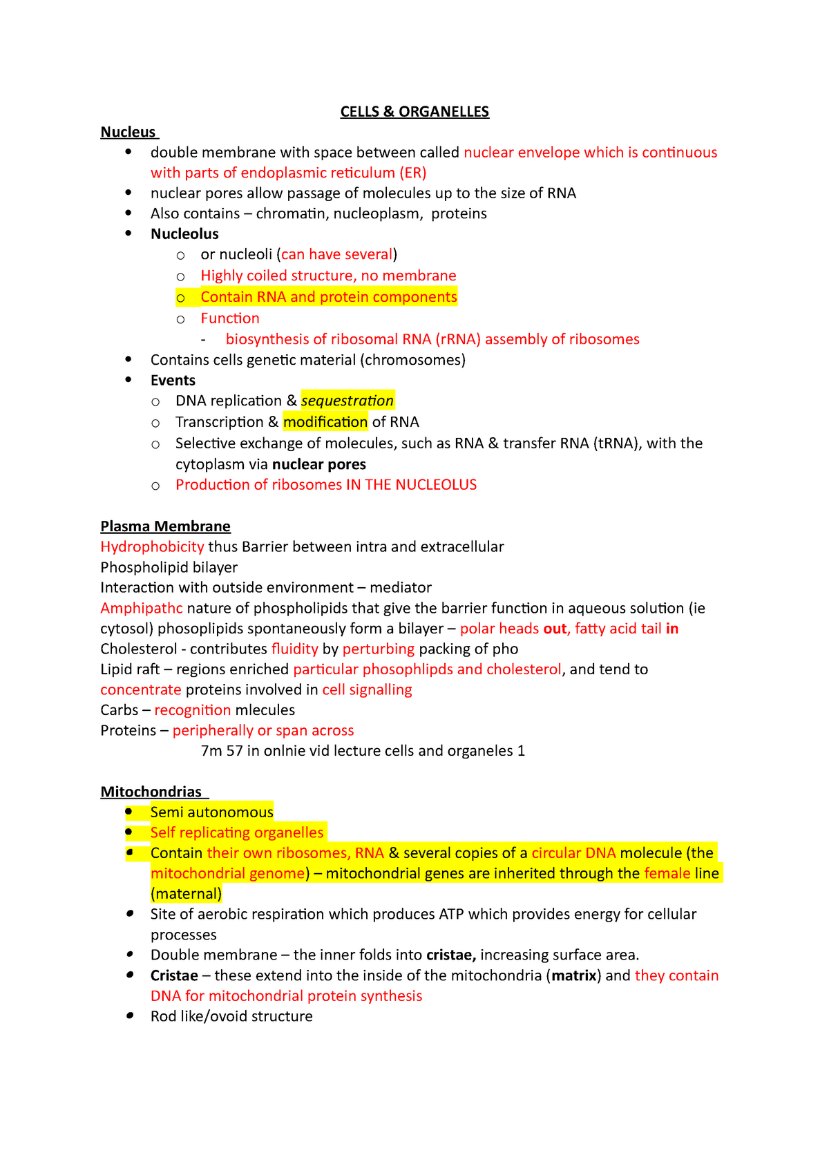 Cells & Organelles - further info for understanding this lecture; this