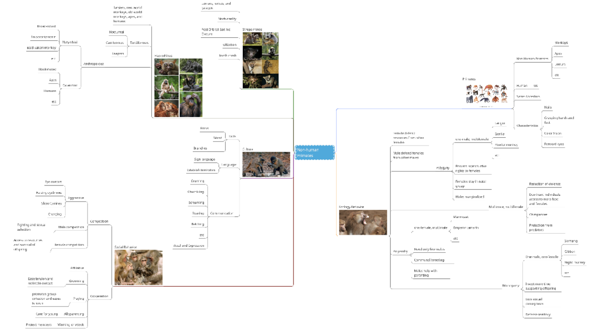 Anthropology Visual Study Guide OSU 3237 – MindView