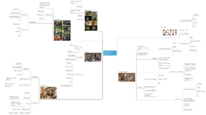 ANTHROP 2200 Visual Study Guide 1 - ANTHROP 2200 - Studocu