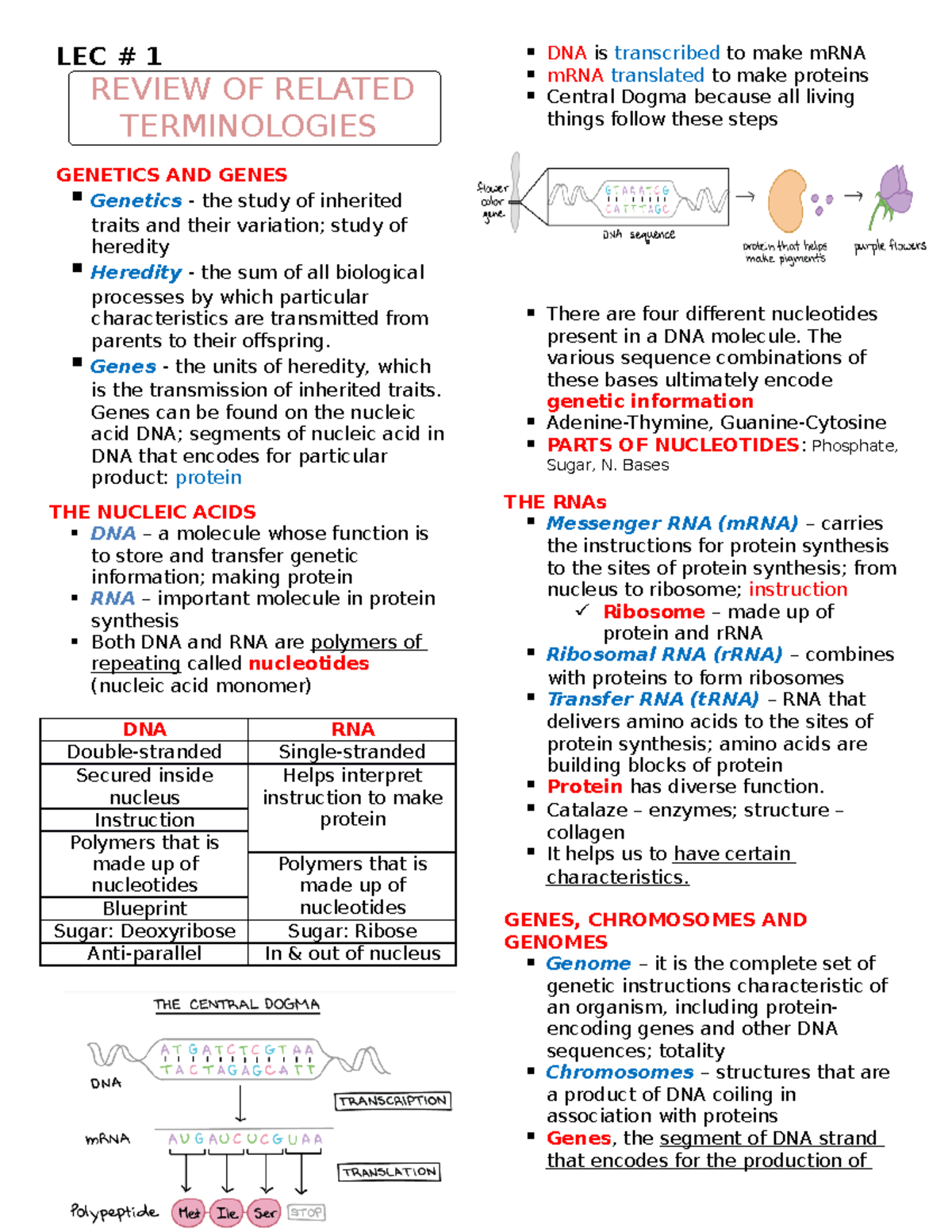 #1 - Related Terminologies - LEC # 1 REVIEW OF RELATED TERMINOLOGIES ...