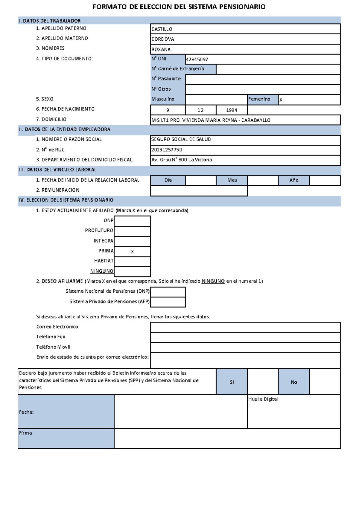 Formatos 2024 - dsasda - FORMATO DE ELECCION DEL SISTEMA PENSIONARIO I ...