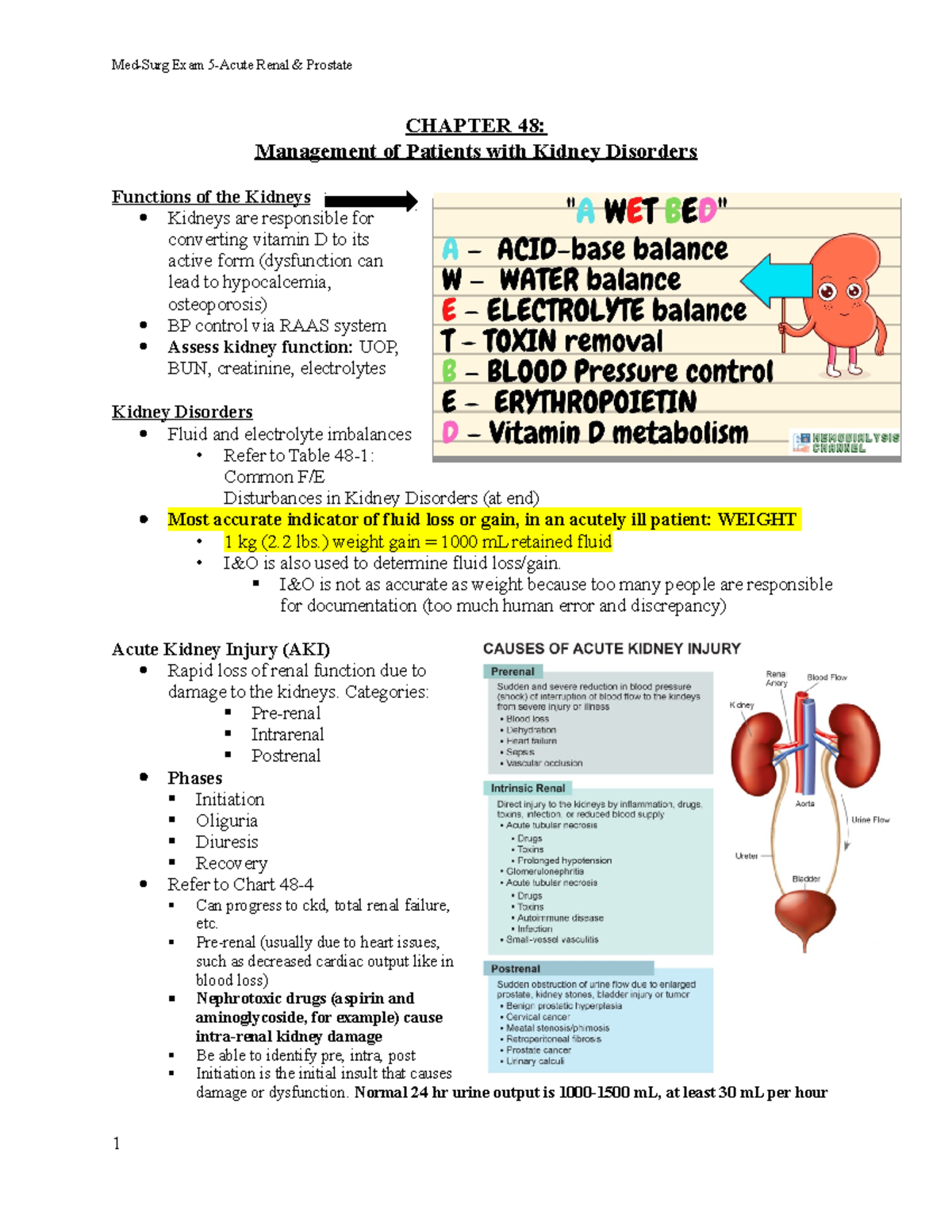 med-surg-renal-prostate-chapter-48-management-of-patients-with