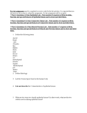 UNIT 2 EXAM Review - Foundations unit 2 review Chapter 5 and chapter 6 ...
