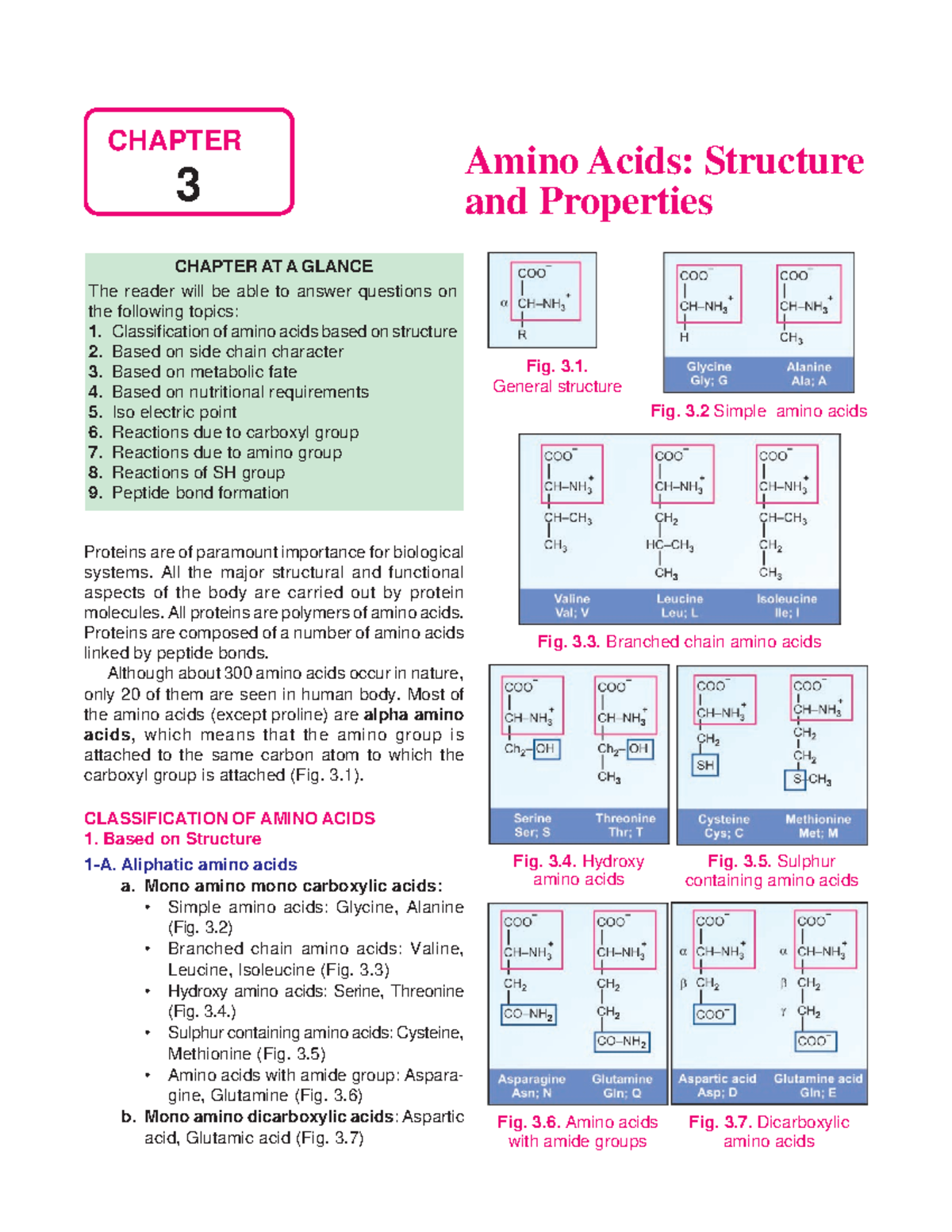 Amino acids structure and properties - CHAPTER AT A GLANCE The reader ...