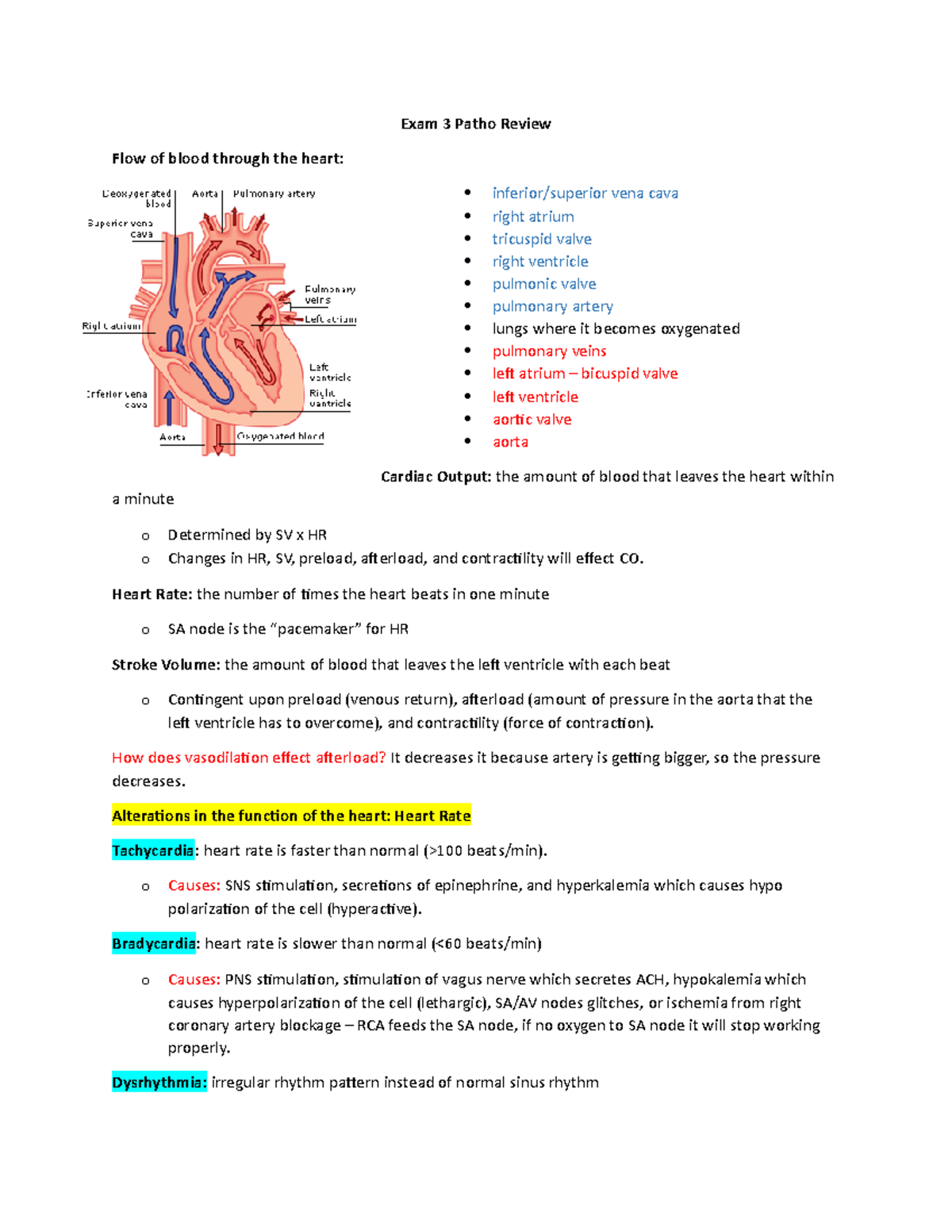 Patho Exam 3 Review - NURS 3366 Exam Patho Review Flow of blood through ...