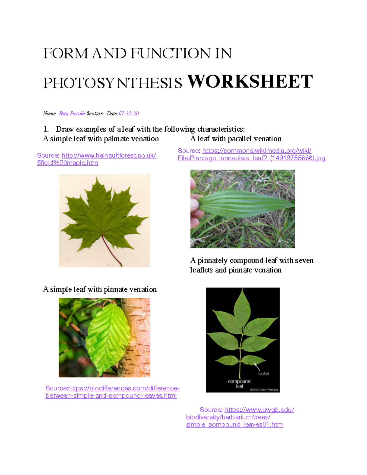 Photosynthesis lab BIO 230 UIC Studocu
