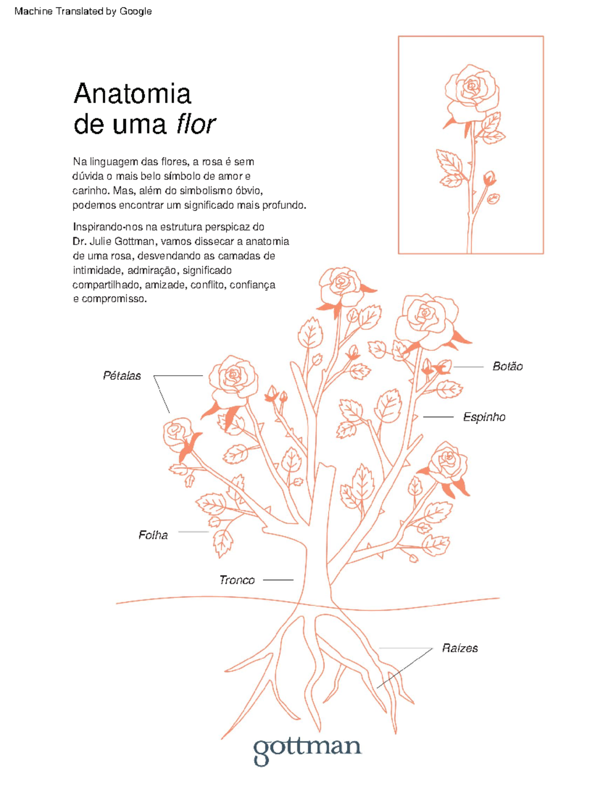 April 2024 - LN Monthly Download - Anatomy of a Flower - tradução - Na ...