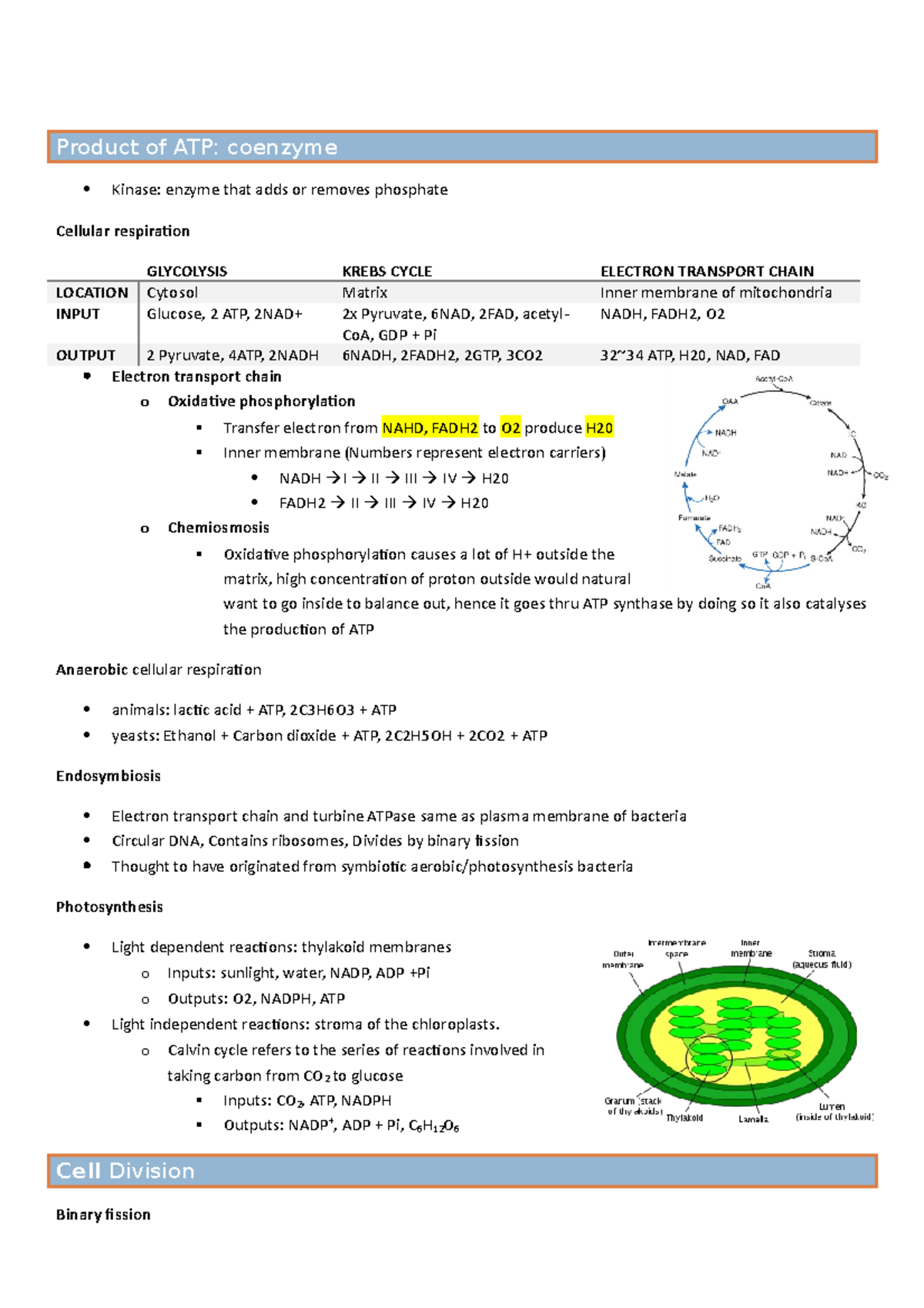 Biomolecules and Cells lecture notes introduction Biomolecules and