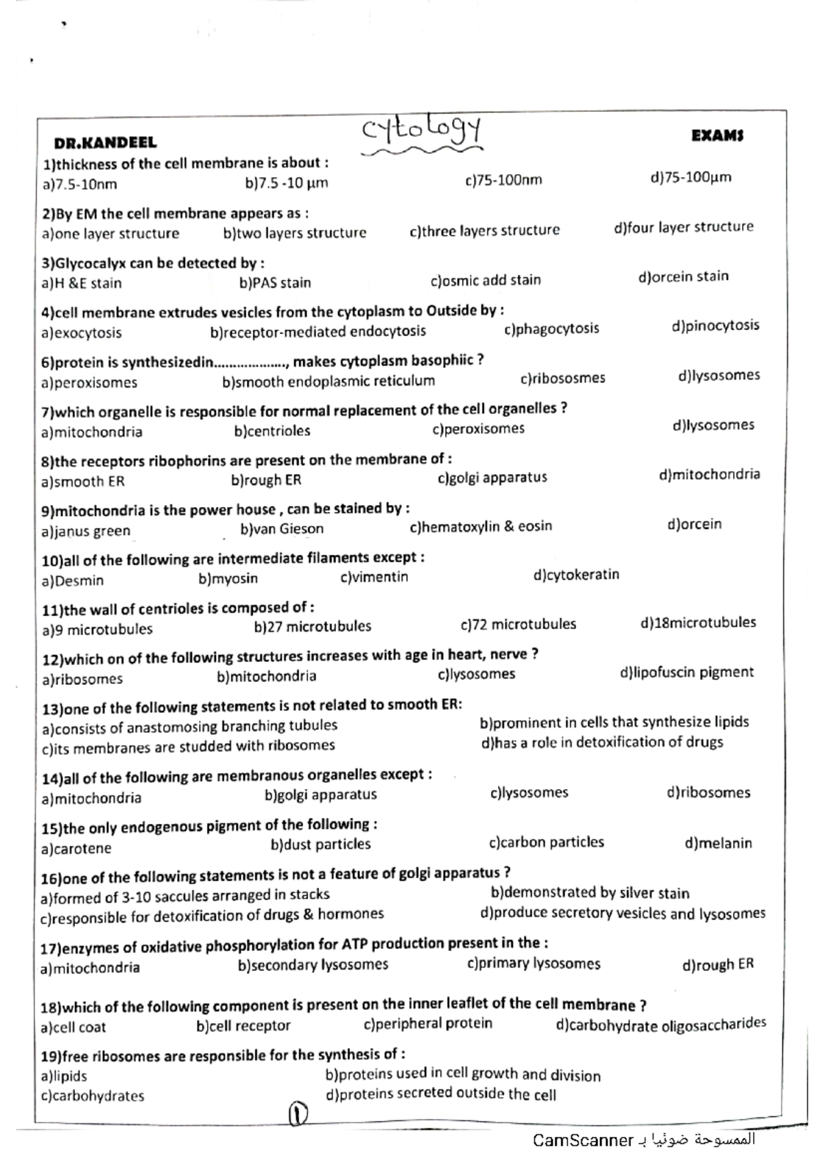 Msq histology Studocu