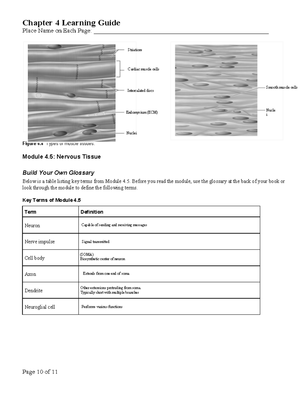 Chapter 4 Histology Lecture Notes - Chapter 4 Learning Guide Place Name ...