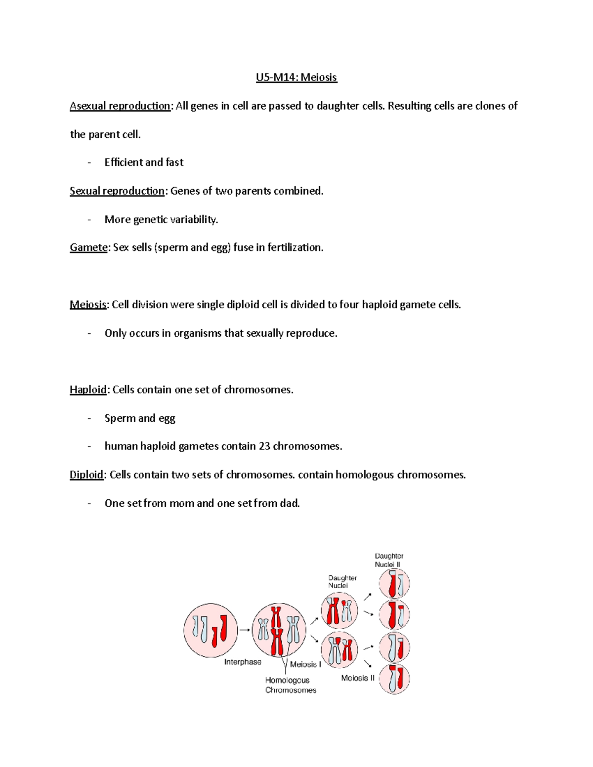 C190 Module 14: Meiosis - U5-M14: Meiosis Asexual reproduction: All ...