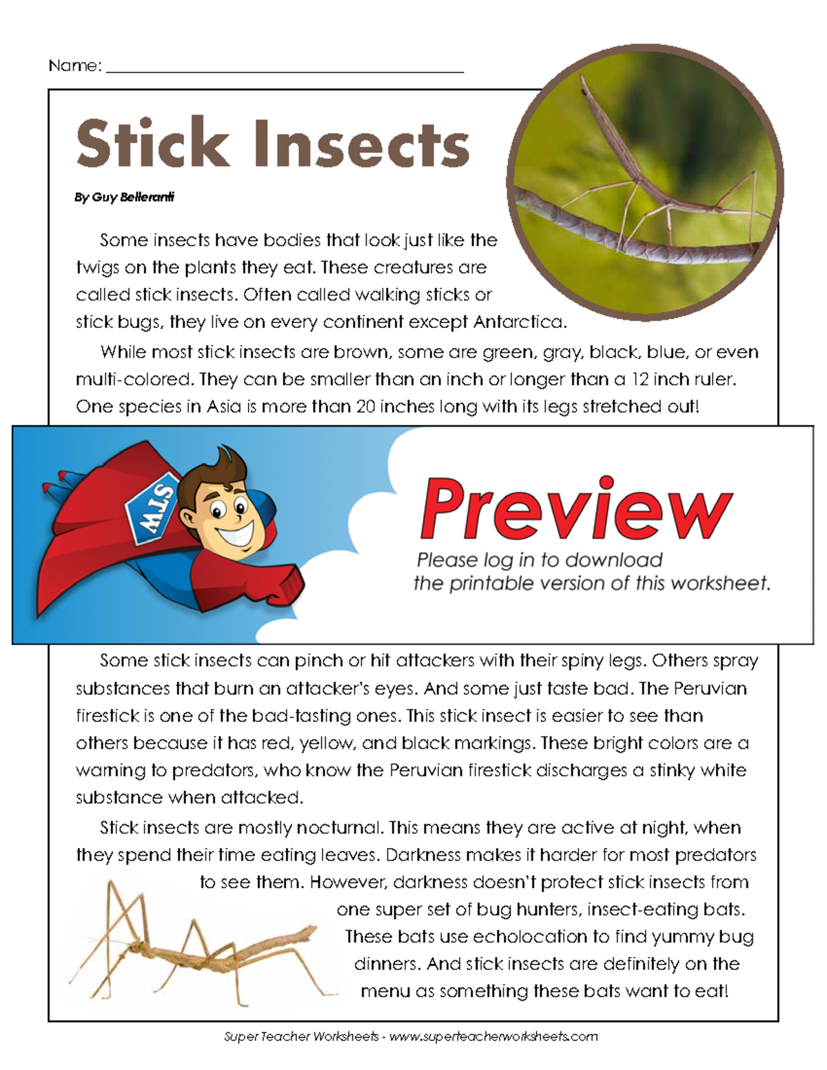 6thstickinsects For additional information Stick Insects By Guy Belleranti Some insects