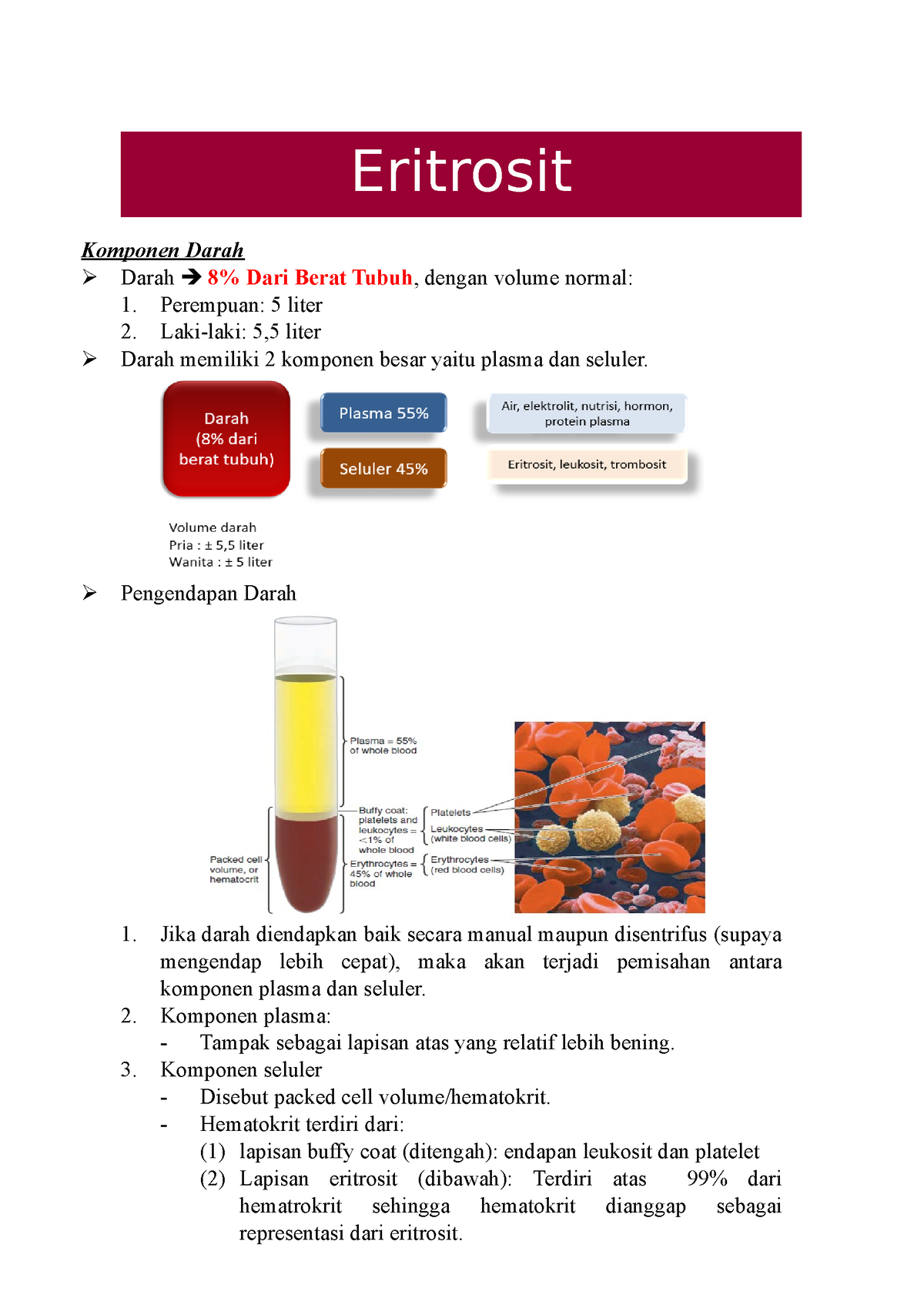 Hema1 1 Eritrosit Komponen Darah Darah 8 Dari Berat Tubuh Dengan
